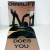 CHAIRLIFT / Does You Inspire You LPレコード Kanine Records » Does You Inspire You